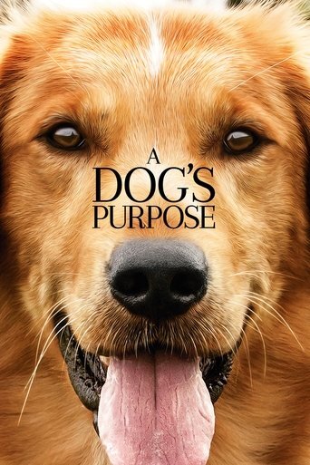 A-Dogs-Purpose-2017-1.jpg