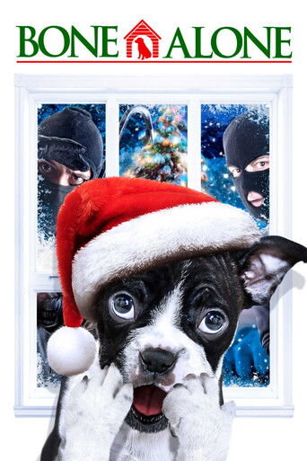Bone-Alone-2013-1.jpg